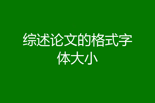 综述论文的格式字体大小