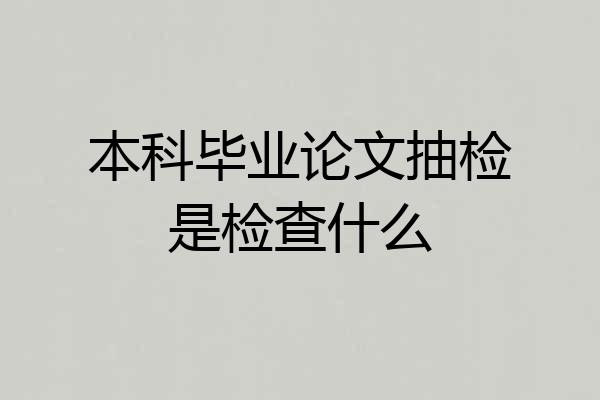 本科毕业论文抽检是检查什么