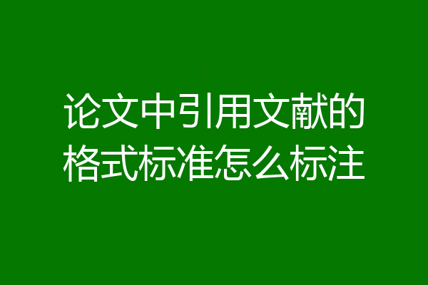 论文中引用文献的格式标准怎么标注