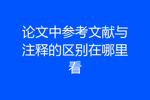 论文中参考文献与注释的区别在哪里看
