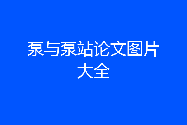 泵与泵站论文图片大全