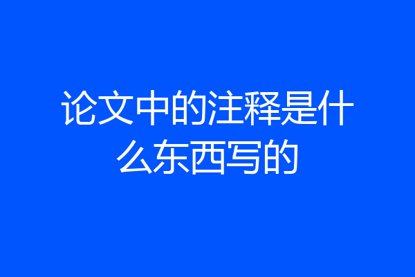 论文中的注释是什么东西写的