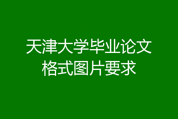 天津大学毕业论文格式图片要求