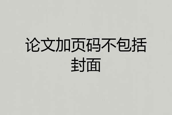 论文加页码不包括封面