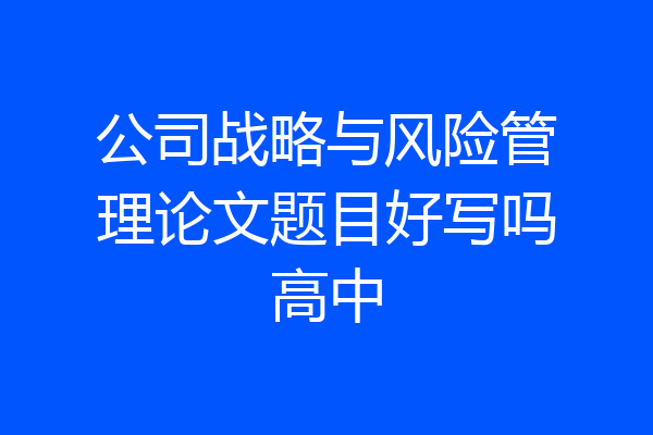 公司战略与风险管理论文题目好写吗高中