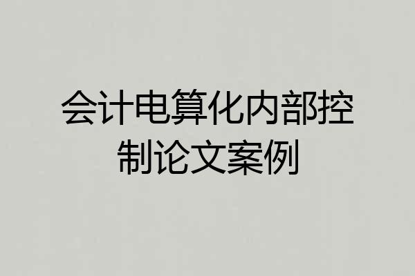 会计电算化内部控制论文案例