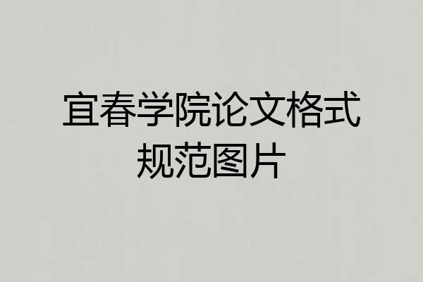 宜春学院论文格式规范图片