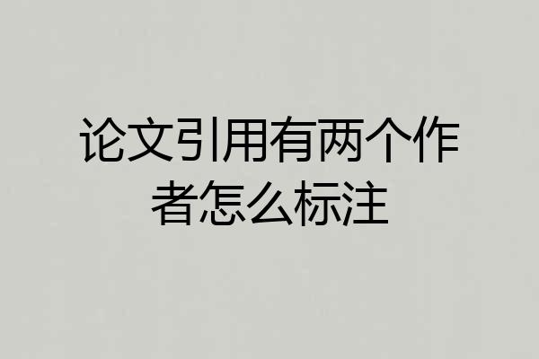 论文引用有两个作者怎么标注