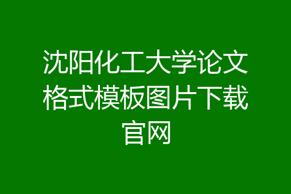 沈阳化工大学论文格式模板图片下载官网