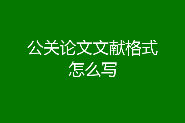 公关论文文献格式怎么写