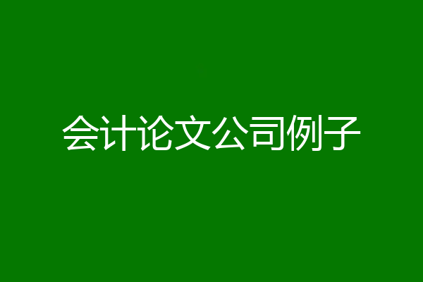 会计论文公司例子