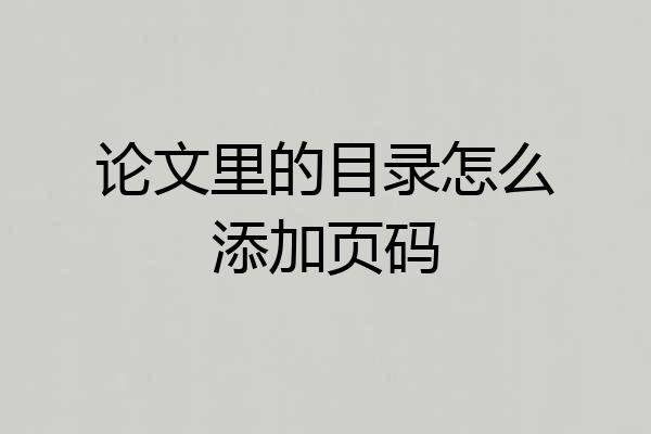 论文里的目录怎么添加页码