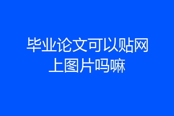毕业论文可以贴网上图片吗嘛