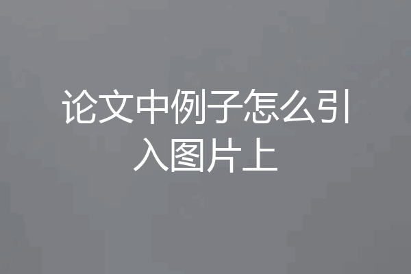 论文中例子怎么引入图片上