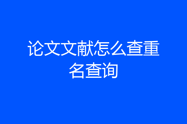 论文文献怎么查重名查询