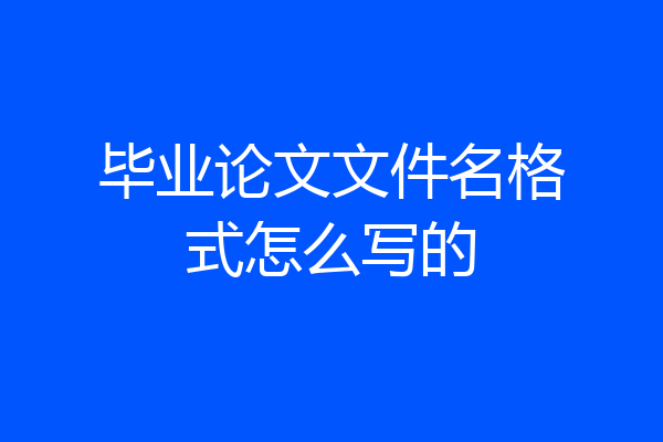 毕业论文文件名格式怎么写的
