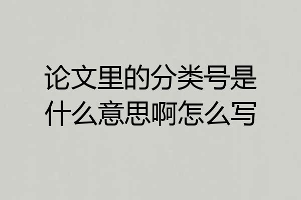论文里的分类号是什么意思啊怎么写