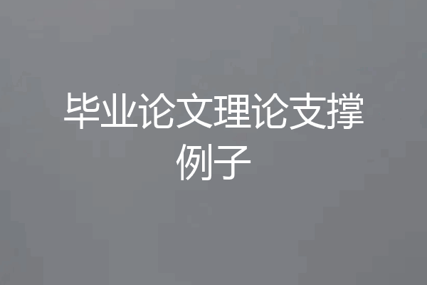 毕业论文理论支撑例子