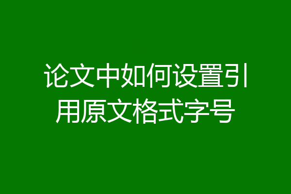 论文中如何设置引用原文格式字号