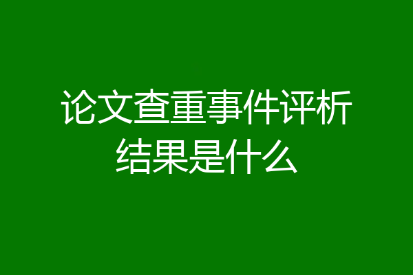 论文查重事件评析结果是什么
