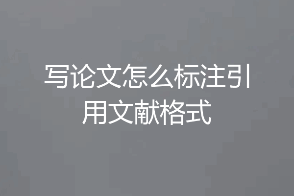 写论文怎么标注引用文献格式