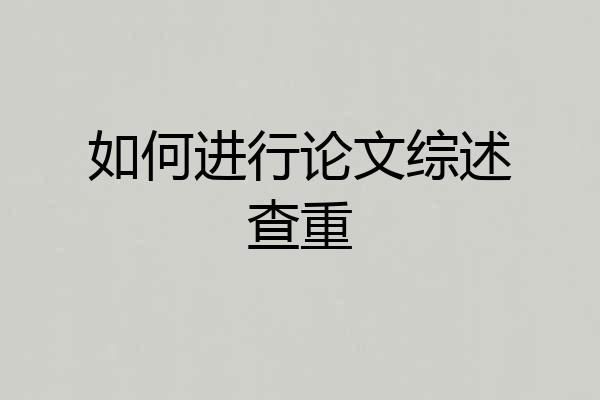 如何进行论文综述查重