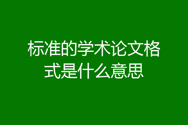 标准的学术论文格式是什么意思