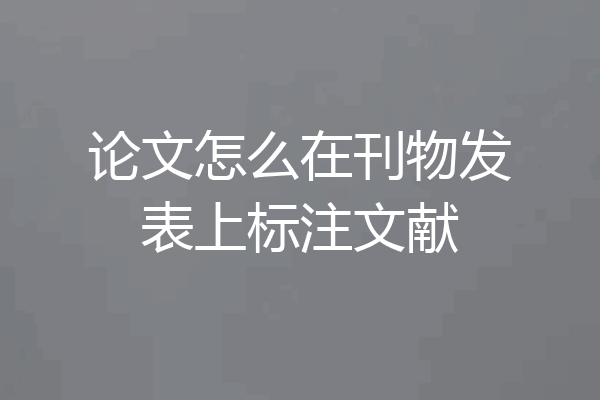论文怎么在刊物发表上标注文献