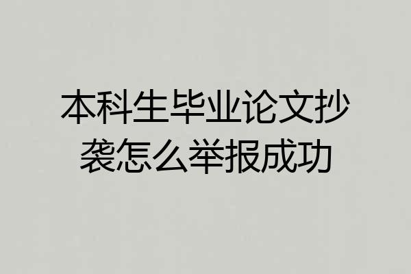 本科生毕业论文抄袭怎么举报成功