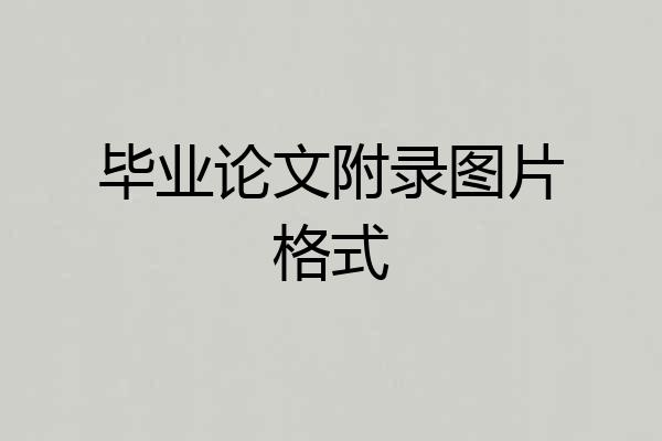 毕业论文附录图片格式