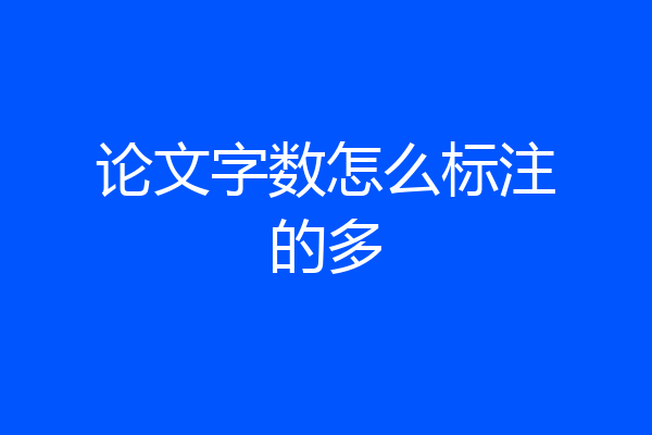 论文字数怎么标注的多