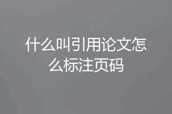 什么叫引用论文怎么标注页码