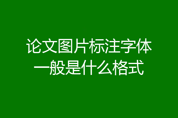 论文图片标注字体一般是什么格式