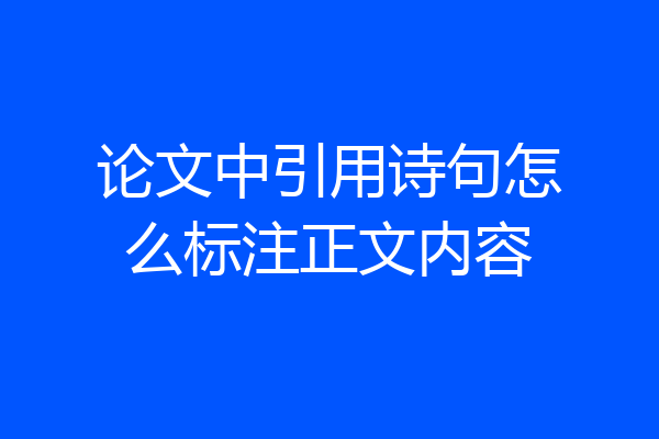 论文中引用诗句怎么标注正文内容