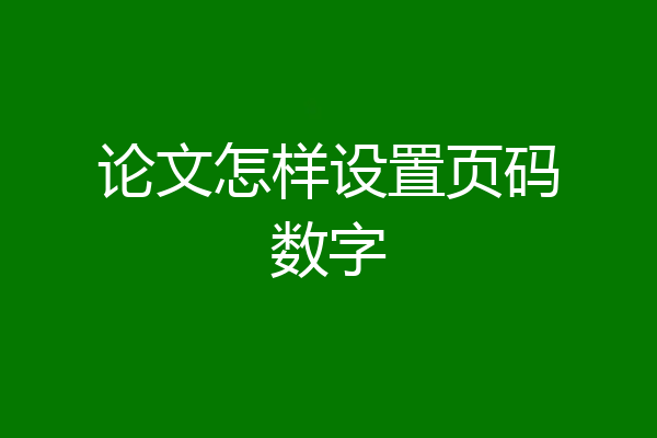 论文怎样设置页码数字