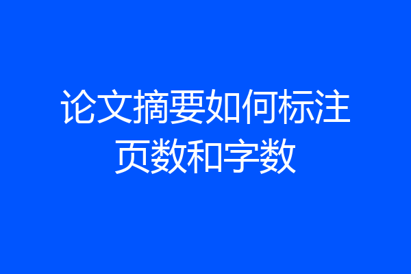 论文摘要如何标注页数和字数
