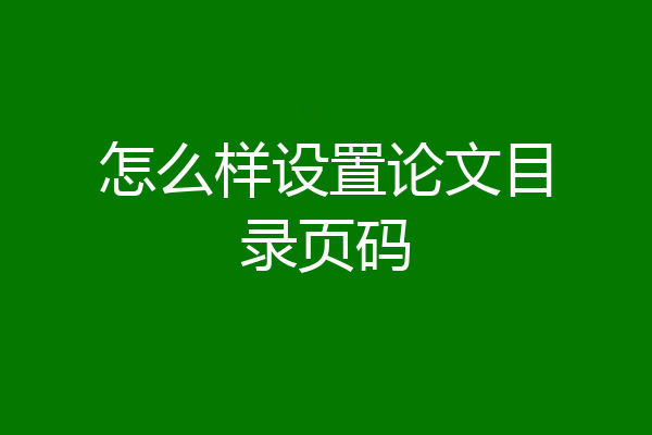 怎么样设置论文目录页码