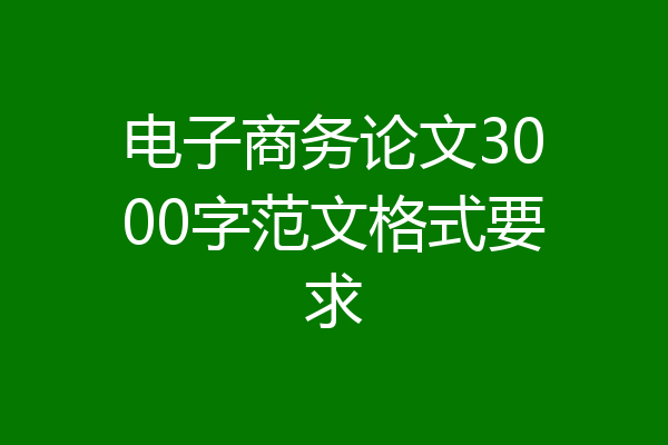 电子商务论文3000字范文格式要求