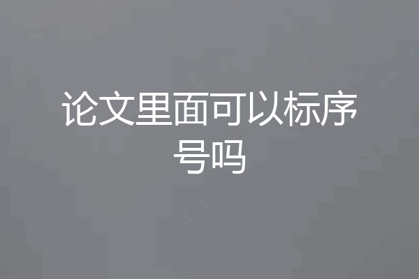 论文里面可以标序号吗