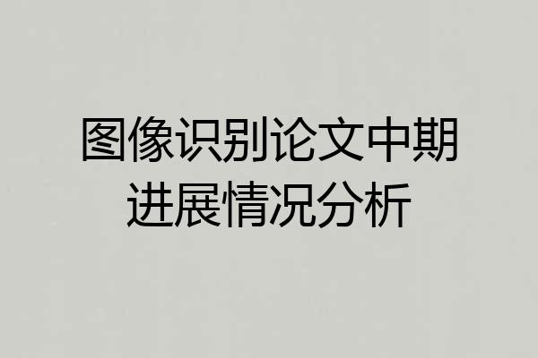 图像识别论文中期进展情况分析
