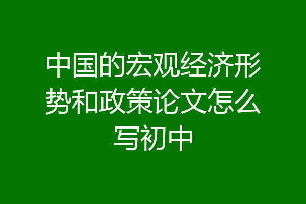 中国的宏观经济形势和政策论文怎么写初中