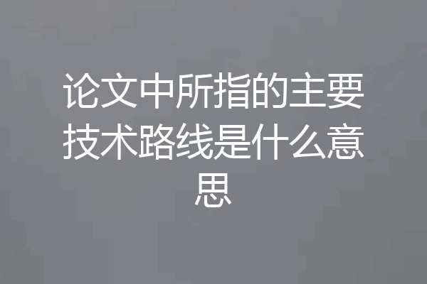 论文中所指的主要技术路线是什么意思