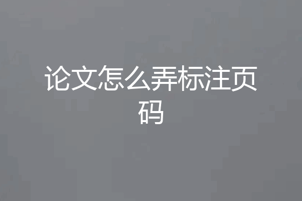 论文怎么弄标注页码