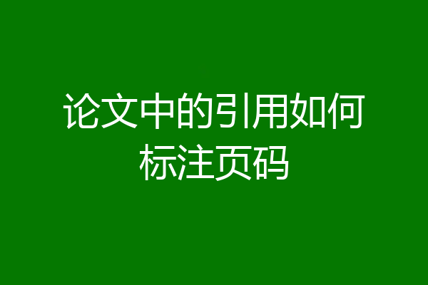 论文中的引用如何标注页码