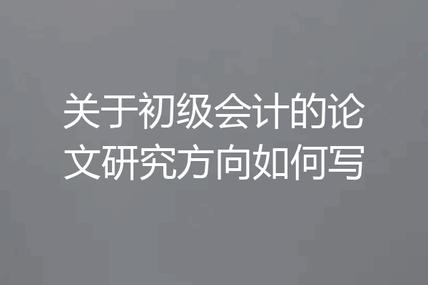 关于初级会计的论文研究方向如何写