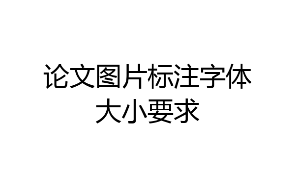 论文图片标注字体大小要求