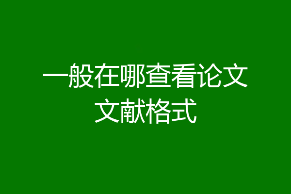 一般在哪查看论文文献格式
