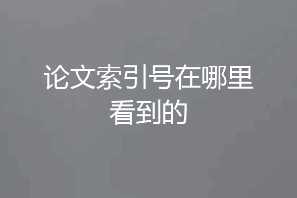 论文索引号在哪里看到的