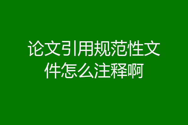 论文引用规范性文件怎么注释啊
