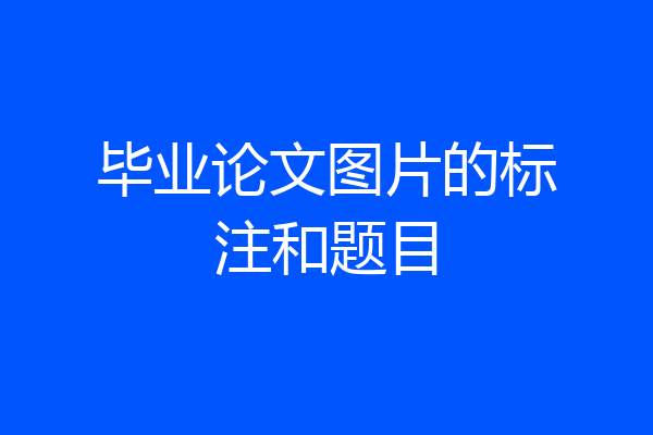 毕业论文图片的标注和题目